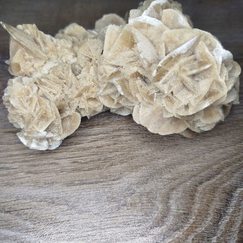 Desert rose used, approximately 13cm