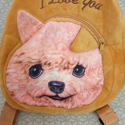 Backpack like new