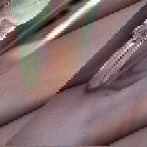 Χρυσή χειροπέδα και δαχτυλίδι σαν καινούργιο με γαλάζιες καρδιές Κ14