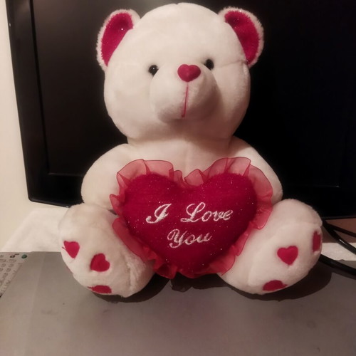Plush teddy bear with heart