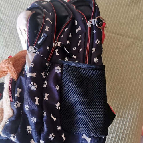 School bag set used with lunch bag and pencil case