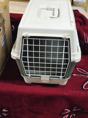 Cat or small dog transport carrier, like new