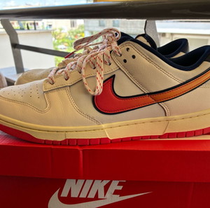 Nike Dunk Low Retro Special Edition