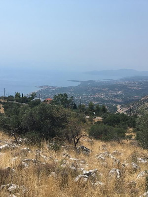 Αγροτεμάχιο 13.076 τ.μ. στην Πλάτσα Μεσσηνίας με θέα θάλασσα και πέτρινη περίφραξη