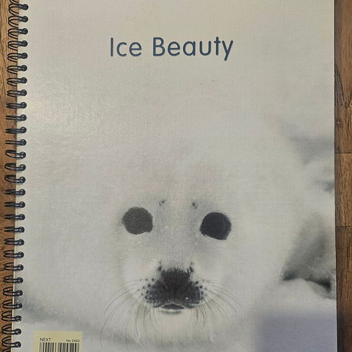 A4 Notebook new, 2 subjects