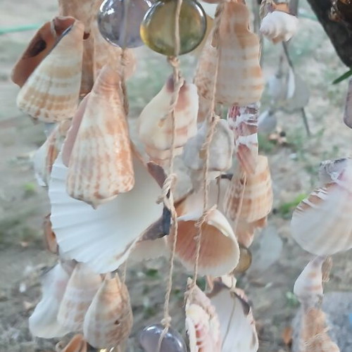 Melodos hanging decoration with real seashells