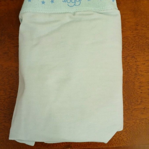 Sloggi 100 mini briefs, size 38, pale green