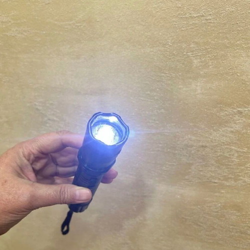 Police flashlight new, Germany