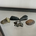 Faux silver ring new, unworn