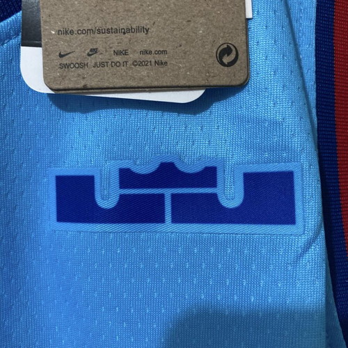 Men's basketball tank top by NIKE Lebron James X Space Jam