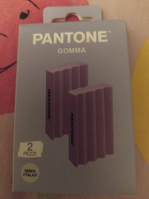 Pantone erasers new set of two in pastel color