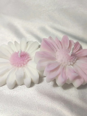 Daisy candle new with various scented colors