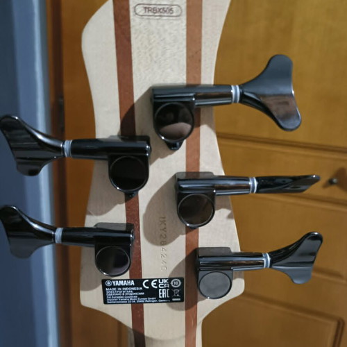 Yamaha TRBX-505 5-string bass guitar