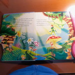 Peter Pan used narration book