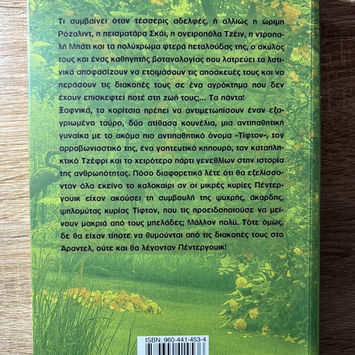 Book "One Summer, Four Girls" by Jeanne Birdsall new, children's book