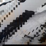  ΤΡΙΠΟΔΑΣ ΚΑΜΕΡΑΣ ΒΙΝΤΕΟΚΑΜΕΡΑΣ ΑΛΟΥΜΙΝΙΟΥ FIRSTLINE