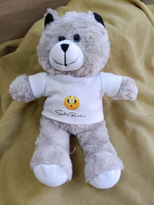 Stuffed cat used with Sakis Rouvas T-shirt