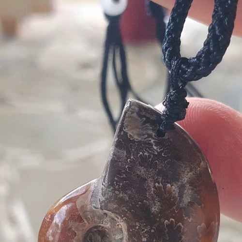 Ammonite pendant necklace, polished, adjustable string