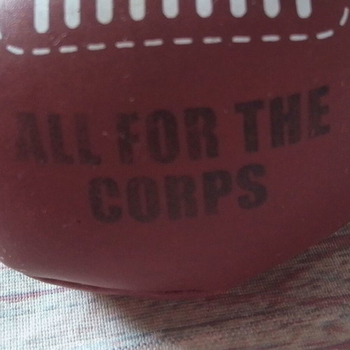 Decorative mini rugby ball like new