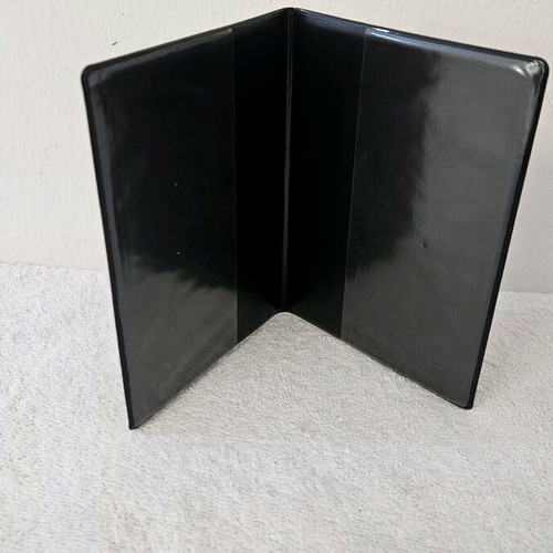Passport holder new