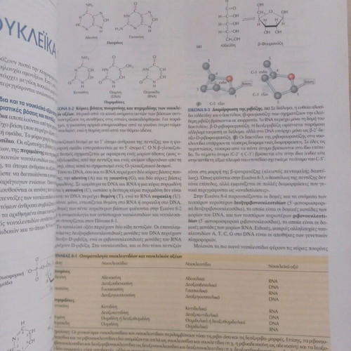 Basic Principles of Biochemistry like new