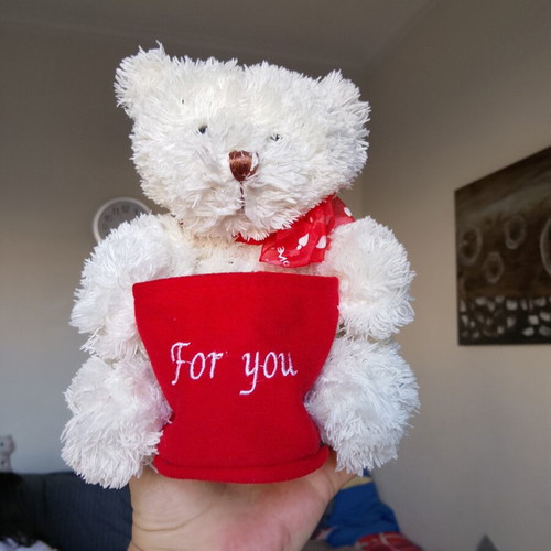 Plush teddy bear in excellent condition