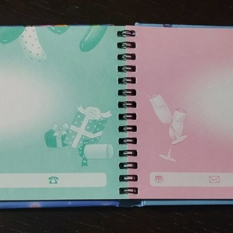 Vintage notebook/diary unused