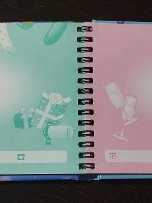 Vintage notebook/diary unused