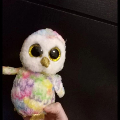 Small plush colorful owl new