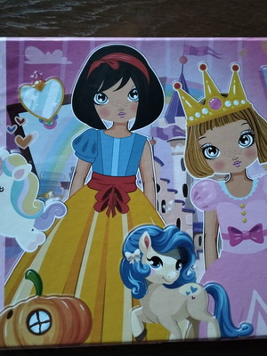 AS Magnet Box Princesses like new