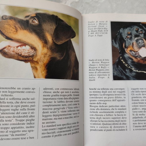 Italian book about Rottweilers like new, foreign language