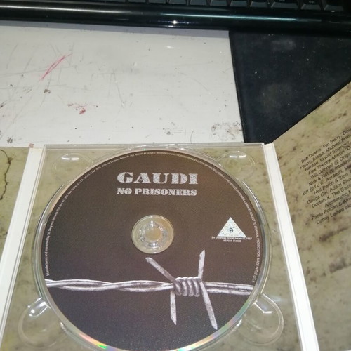 Gaudi No Prisoners CD like new, reggae electronic music