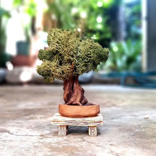 Mini Olive Bonsai Tree Handmade Ceramic Clay with Preserved Moss