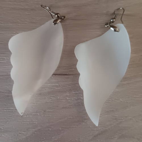 Earrings pair new with case silver