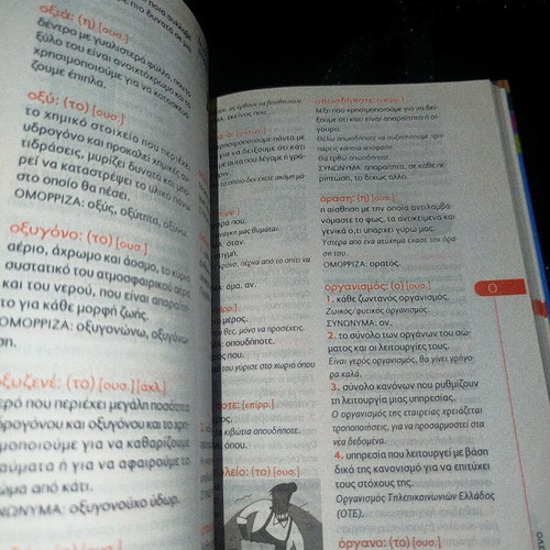 Primary School Dictionary #2 like new