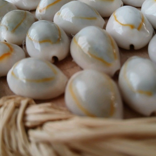 Handmade wooden jewelry box with shells like new