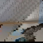  ,,Истината за бебетата" книга за деца