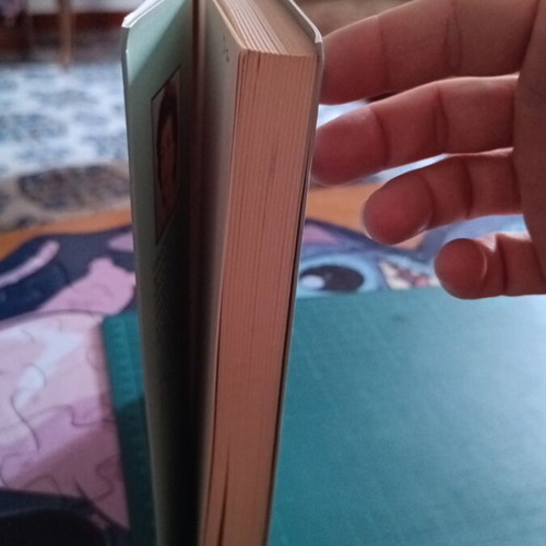 Novel The Big Girls Don't Cry by Bessi Livanou like new