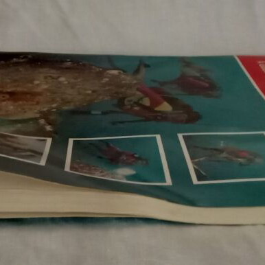 PADI Diving Knowledge Workbook 1993 used