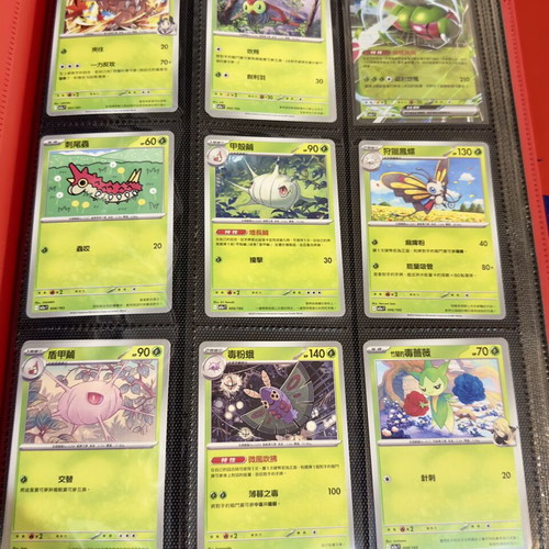 Pokémon Binder with Full 1-193 Ascended Hero Set in Traditional Chinese, mint