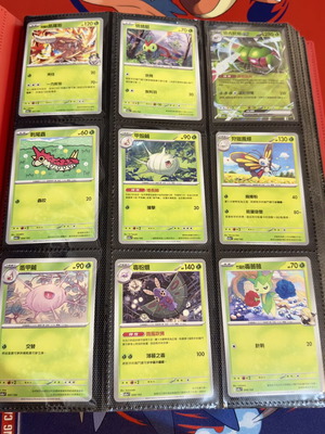 Pokémon Binder with Full 1-193 Ascended Hero Set in Traditional Chinese, mint