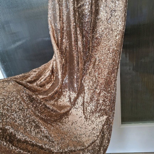 Access Fashion Dress New with Two-Tone Sequin, Long Length, Medium-Large