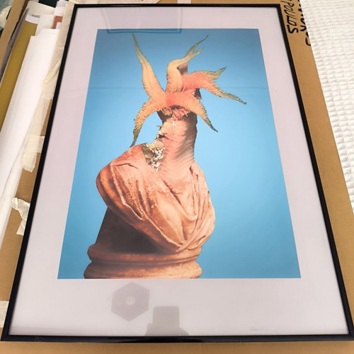 Digital Collage 2020 framed, like new, surreal modern art