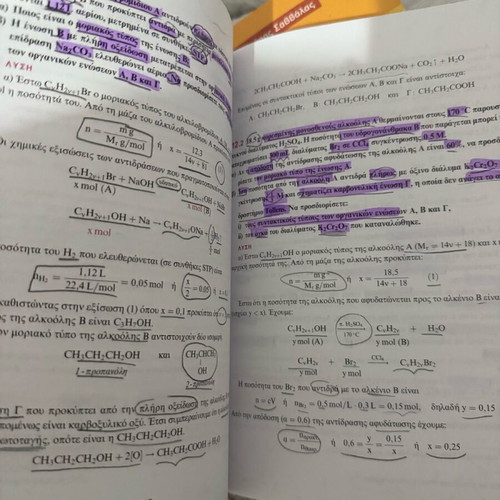 Salteris Chemistry Guide G’ Lyceum used