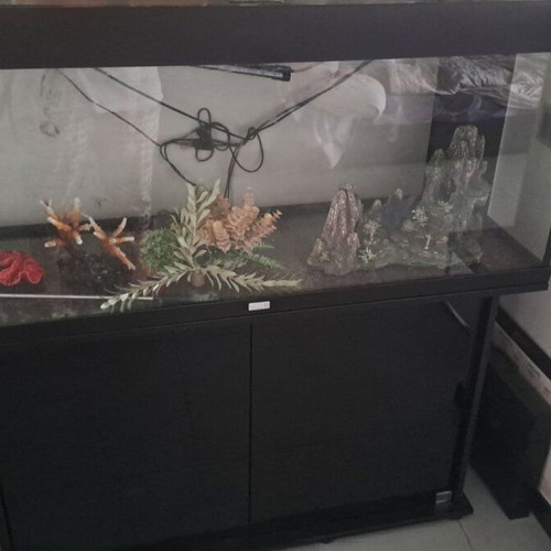 Juvel Rio 240 Aquarium used with accessories and cabinet