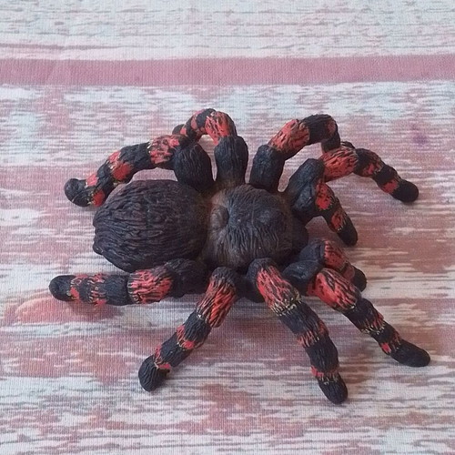 Spider tarantula animal figure used