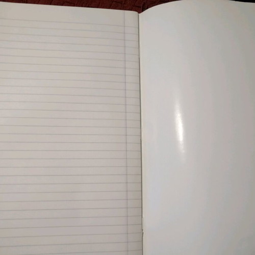 Sad Sam & Honey notebook used, large, 1995, 30x20 cm