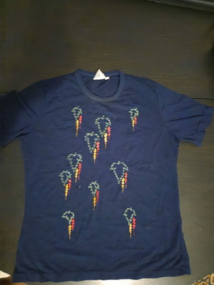 Acme blue t-shirt with embroidered design, like new, size L
