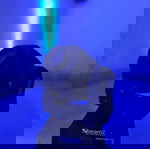  Ρομποτικά BEAMZ PANTHER 70