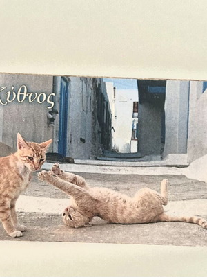 Μαγνητάκι Κύθνος με γατούλες